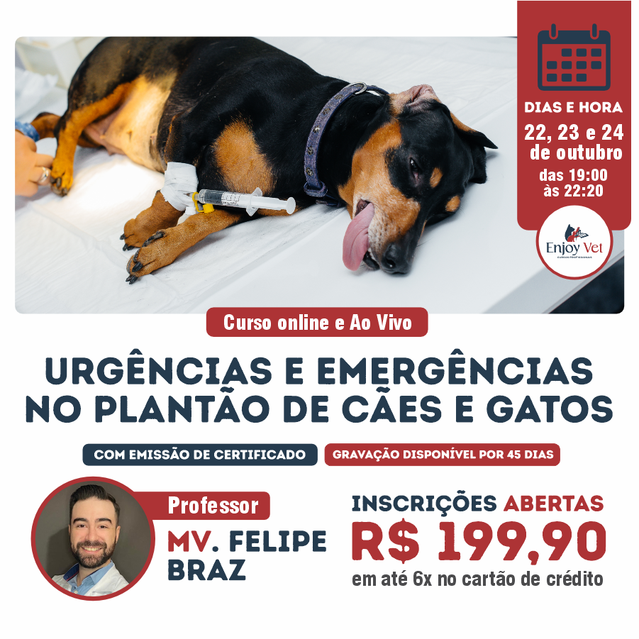 Urgências e Emergências no Plantão de Cães e Gatos