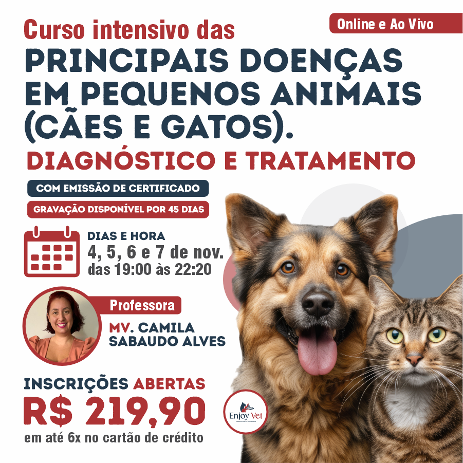 Curso online e ao vivo – Principais Doenças em Pequenos Animais (cães e gatos). Diagnóstico e Tratamento